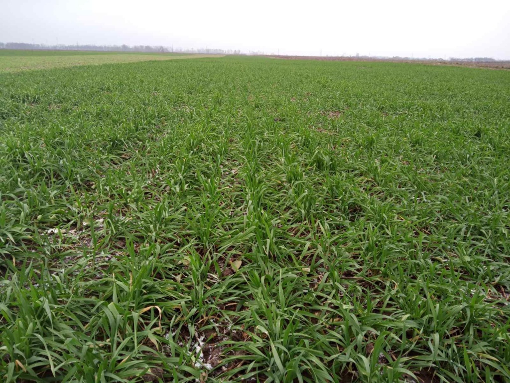 Фото 1.jpeg Фото 1.jpeg